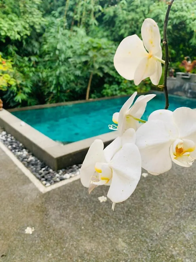 Gek House Ubud Gasthof