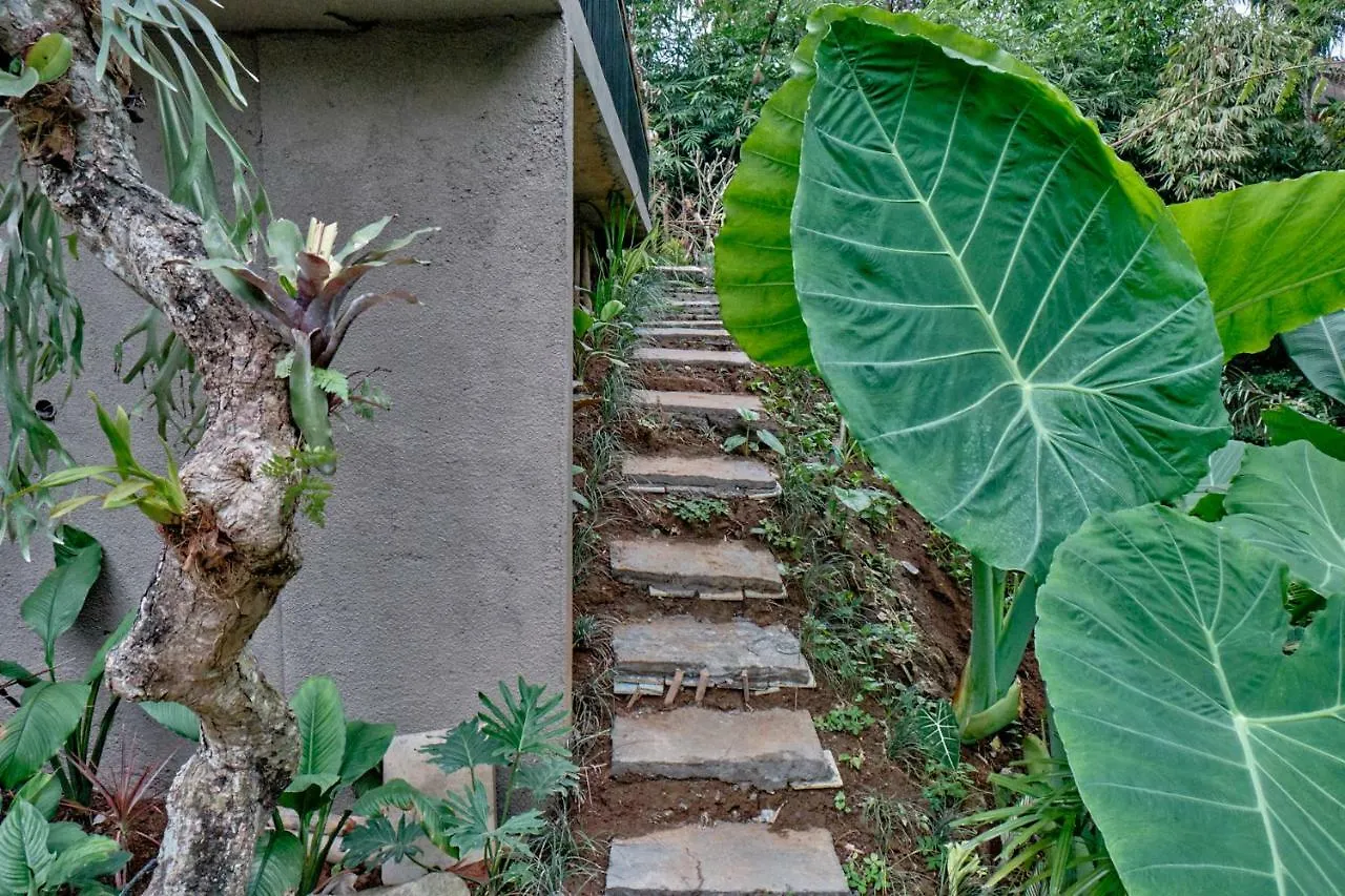 Gek House Ubud  Ubud (Bali)